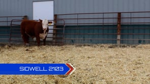 Lot #2103 - 