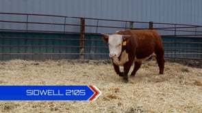 Lot #2105 - 