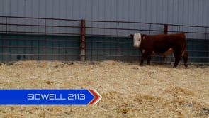 Lot #2113 - 