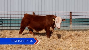 Lot #2174 - 