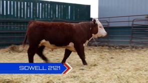 Lot #2121 - 
