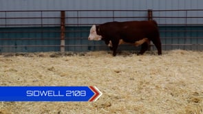 Lot #2108 - 