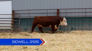 Lot #2125 - 