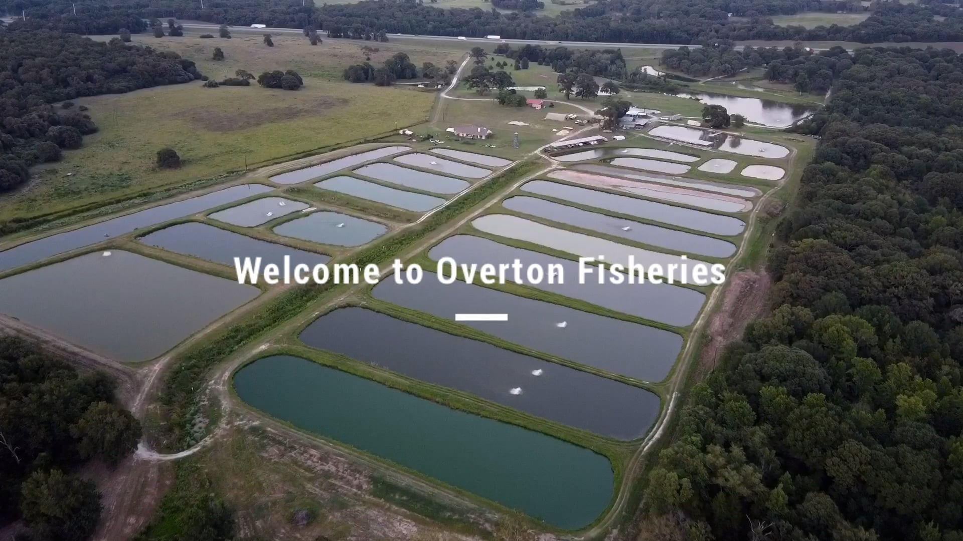 Overton Fisheries Texas Fish Stocking