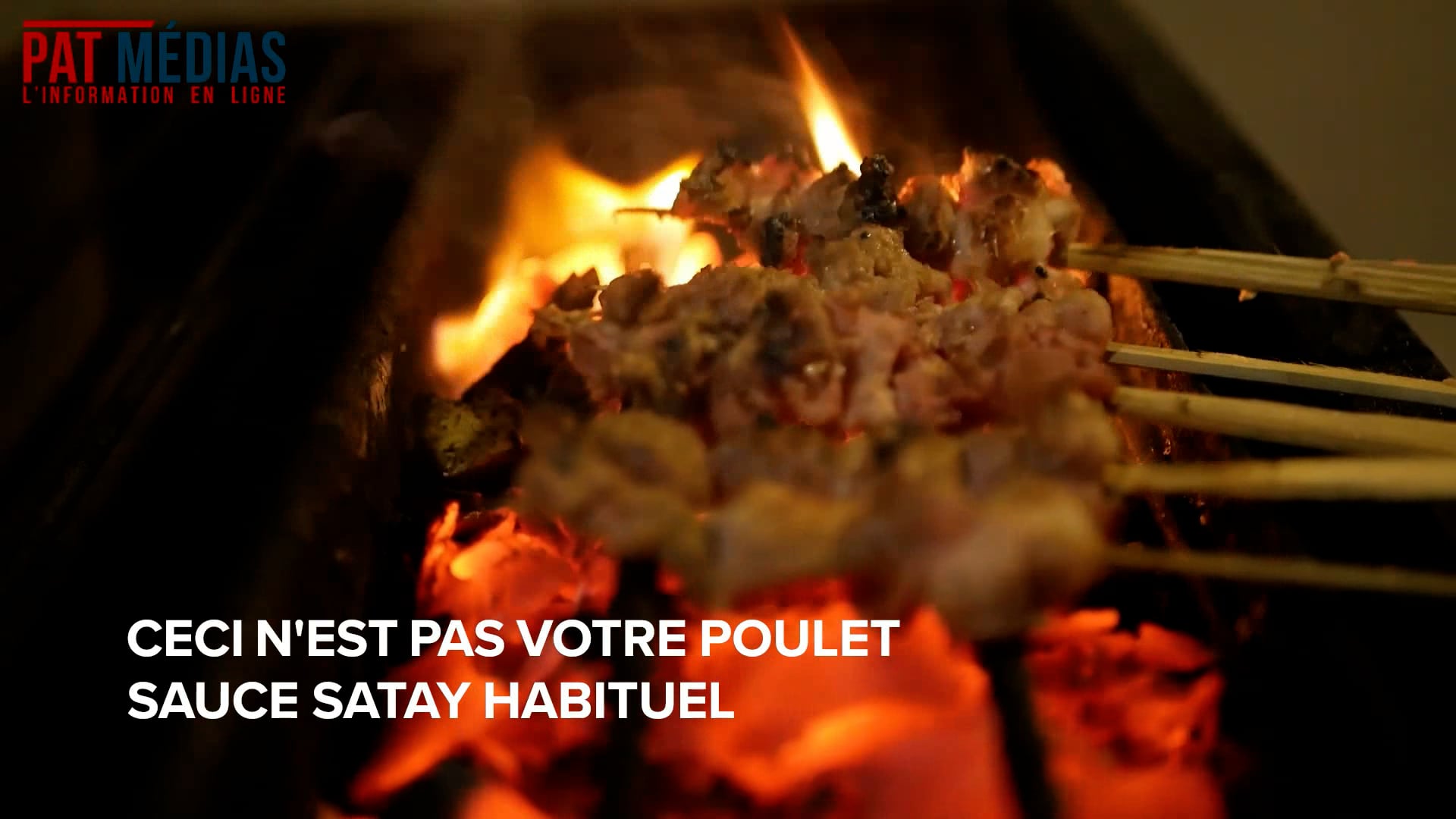 Lézard au barbecue.mp4 on Vimeo