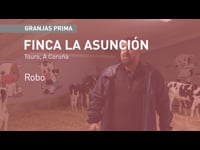 Robotizar para avanzar sin descuidar la alimentación