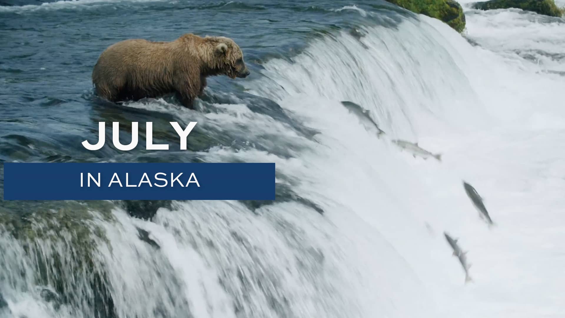 Alaska in July on Vimeo