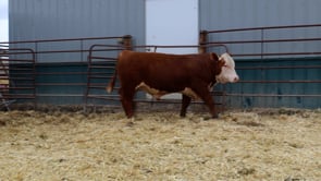 Lot #2128 - 