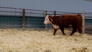 Lot #2130 - 