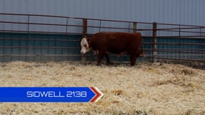 Lot #2138 - 
