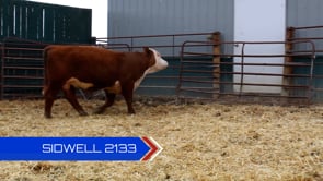 Lot #2133 - 