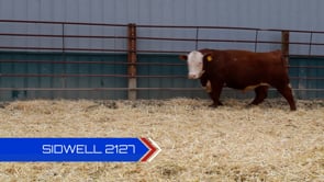 Lot #2127 - 