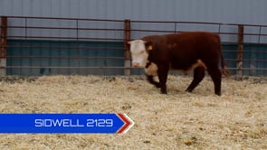 Lot #2129 - 