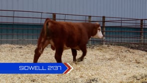 Lot #2137 - 