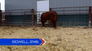 Lot #2146 - 