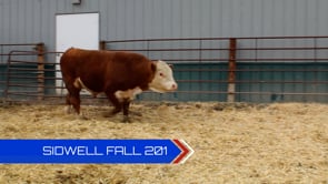 Lot #201 - 