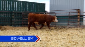 Lot #2141 - 
