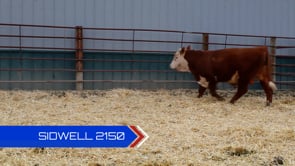 Lot #2150 - 