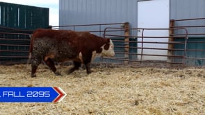 Lot #2095 - 