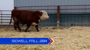 Lot #204 - 