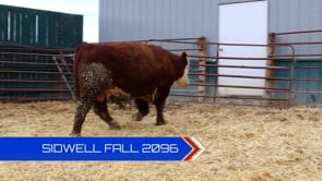 Lot #2096 - 