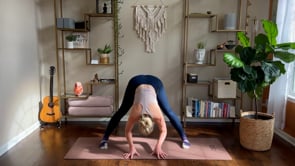 Related Embedded Video Item Thumbnail