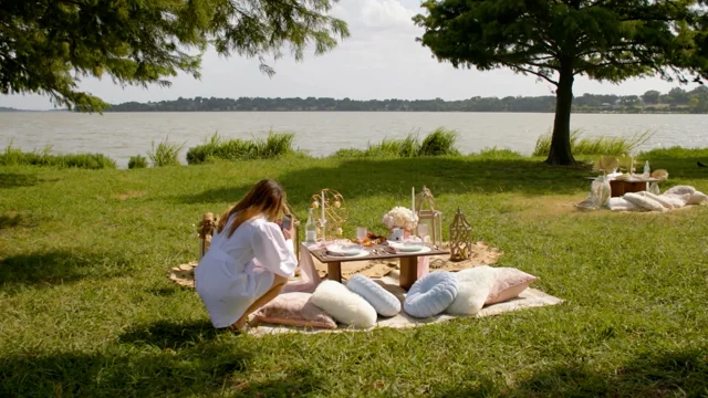 PICNICS — Pop Up Picnic Co.