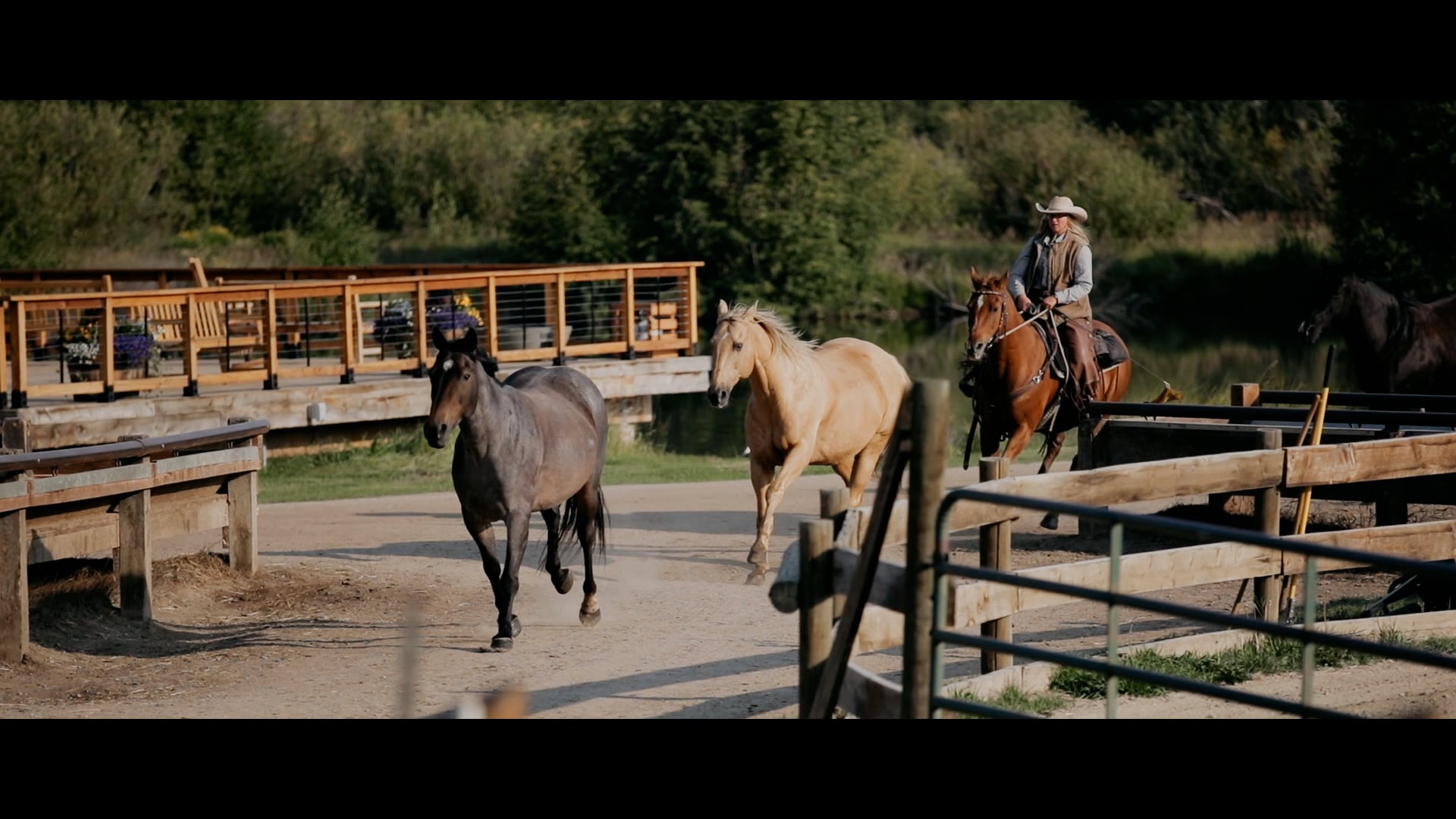Viget 21.5 Trailer