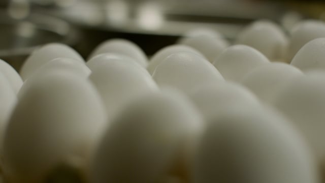A flat of farm fresh eggs ready to be used in something delicious.