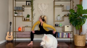 Related Embedded Video Item Thumbnail