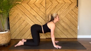 Related Embedded Video Item Thumbnail