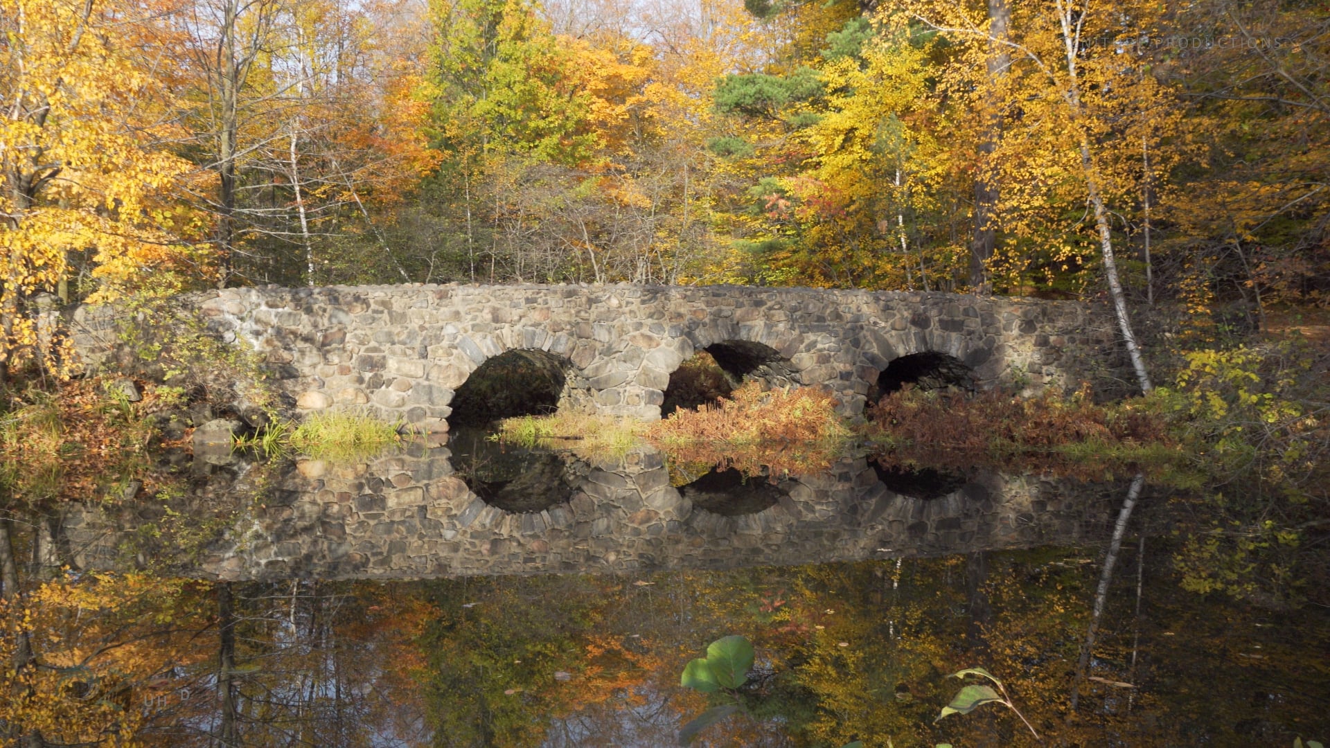 Scènes d'automne.. UHD 4K
