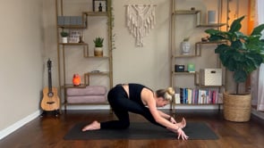 Related Embedded Video Item Thumbnail