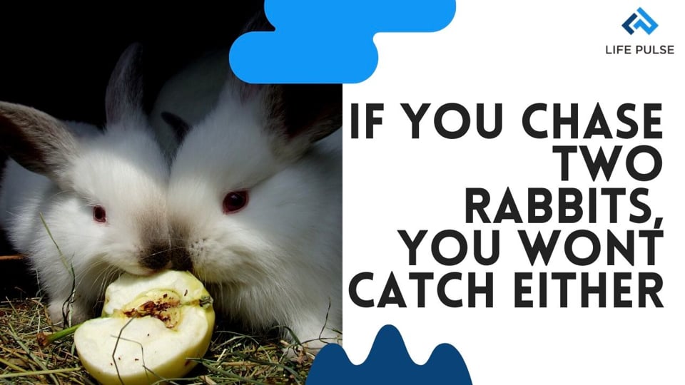 WW #417 - Which rabbit are you chasing?