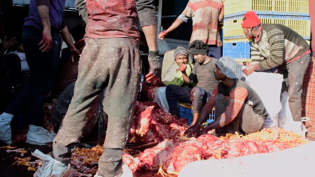 Workers dismember dead chickens inside a wholesale chicken market, Ghaziabad, India, 2022