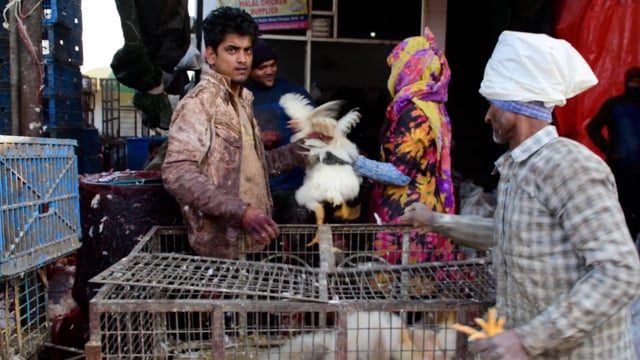 Workers roughly remove chickens from crates for slaughter inside a wholesale chicken market, Ghaziabad, India, 2022