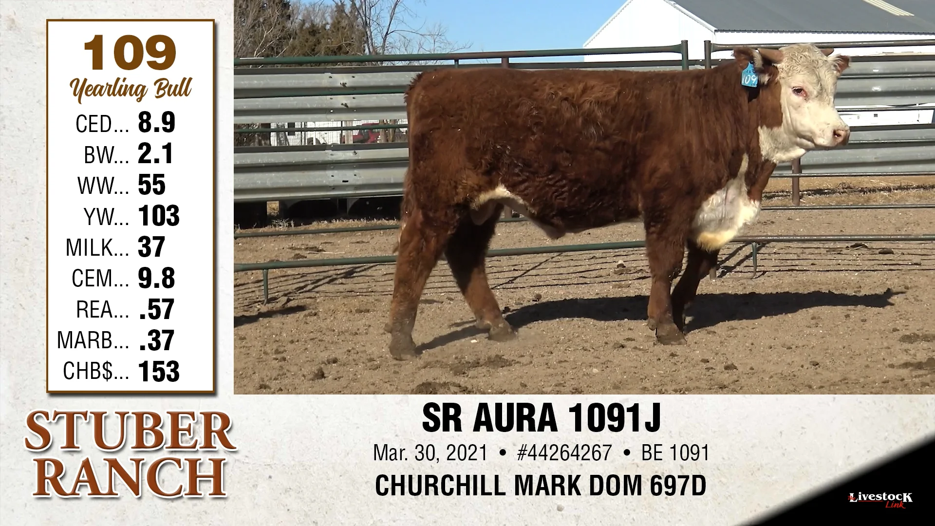 Stuber Ranch - Lot 109 on Vimeo