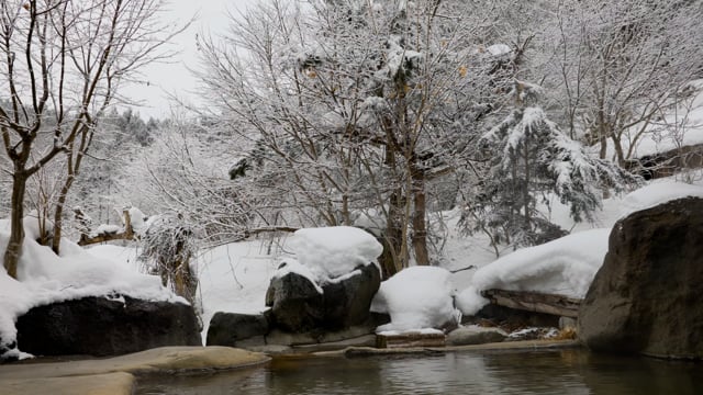 温泉 露天浴缸 日本 Free video on Pixabay Pixabay