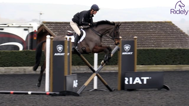 Introducing Show Jumps before the Season