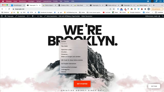 Fehlersuchkonzept- Plugins, Themes, Elemente inkrementell ausschließen