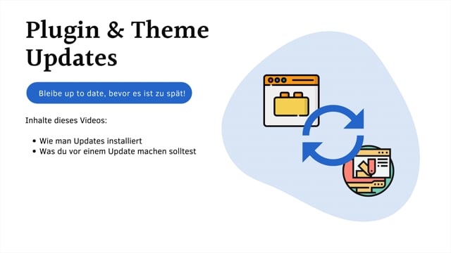 Plugin & Theme Updates