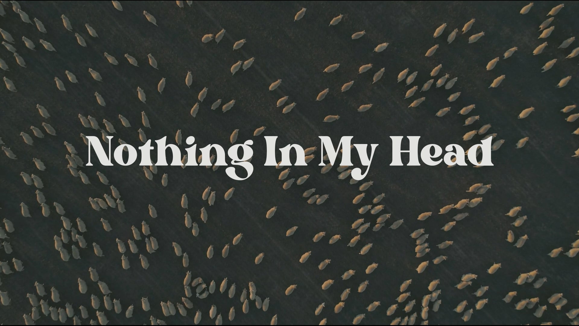 Nothing In My Head