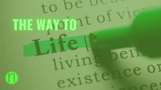 Resurrection Life