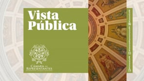 Grabaciones de la Vista del Proyecto 1191