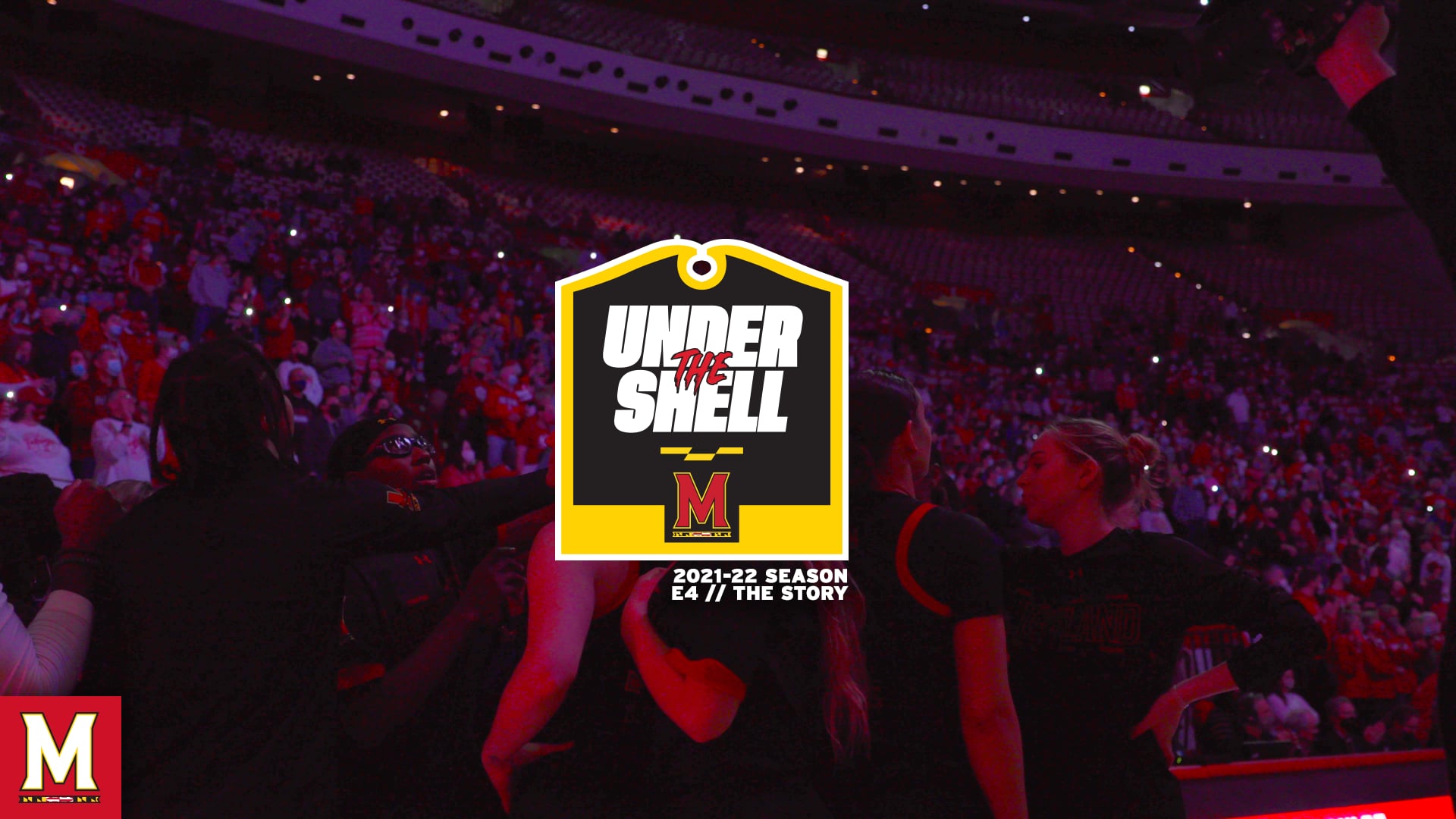 Under The Shell // Episode 4 // The Story