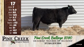 Lot #17 - 