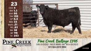 Lot #23 - 