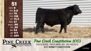 Lot #51 - 