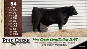 Lot #54 - 