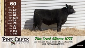 Lot #60 - 